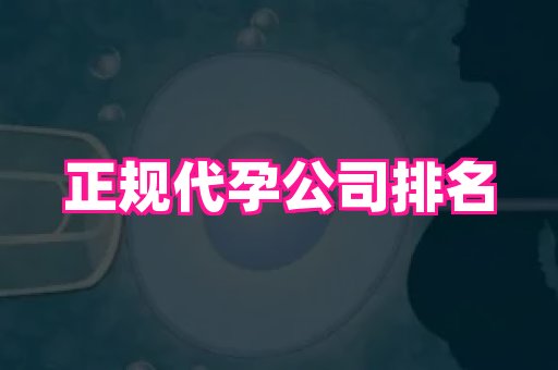 长春助孕网 3
